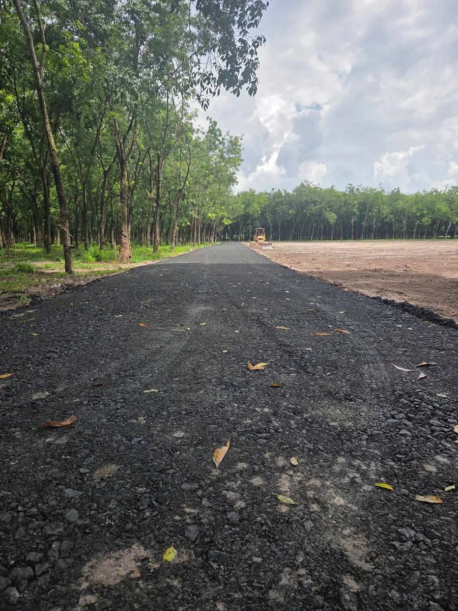 Bán đất 500m² Phường Bình Minh 159 triệu - Ảnh thu nhỏ 2