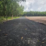 Bán đất 500m² Phường Bình Minh 159 triệu - Ảnh thu nhỏ 2