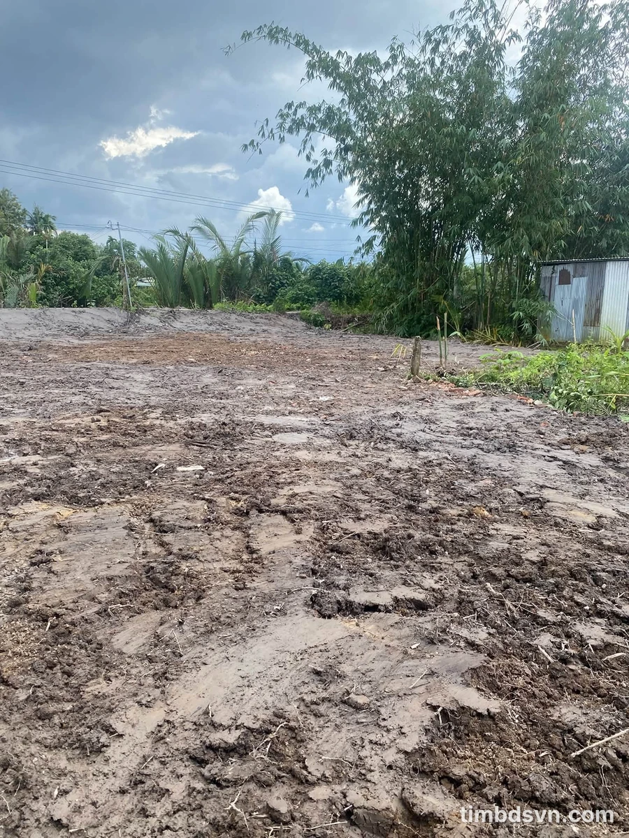 Bán nền đất Tám Bình Bình Chánh 85m² giá 130 triệu - Ảnh thu nhỏ 4