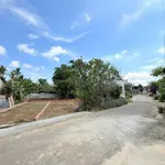 Bán 2 lô đất liền kề hẻm Mai Thị Lựu 100m² Buôn Ma Thuột - Ảnh thu nhỏ 2