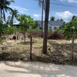 Bán đất 1000m2 mặt tiền 21m Ô Tô Thông 2 Mũi Né - Ảnh thu nhỏ 3