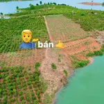 Bán đất view hồ ở Đăk Hà, Kon Tum - Ảnh thu nhỏ 1