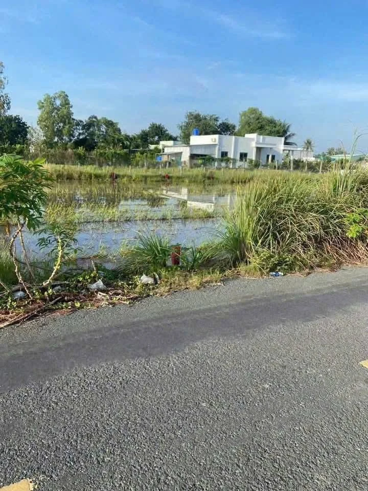 Bán đất thổ cư 130m2 mặt tiền Nguyễn Quang Đại, Cần Đước, Long An - Ảnh thu nhỏ 3