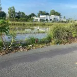 Bán đất thổ cư 130m2 mặt tiền Nguyễn Quang Đại, Cần Đước, Long An - Ảnh thu nhỏ 3