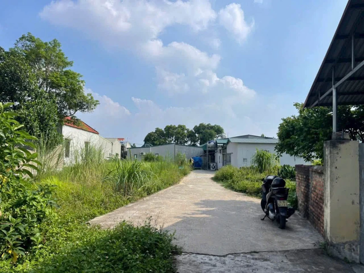 Bán lô đất 74m² mặt tiền 11.44m Lương Điền Hải Dương - Ảnh 1
