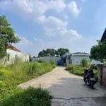 Bán lô đất 74m² mặt tiền 11.44m Lương Điền Hải Dương - Ảnh thu nhỏ 1