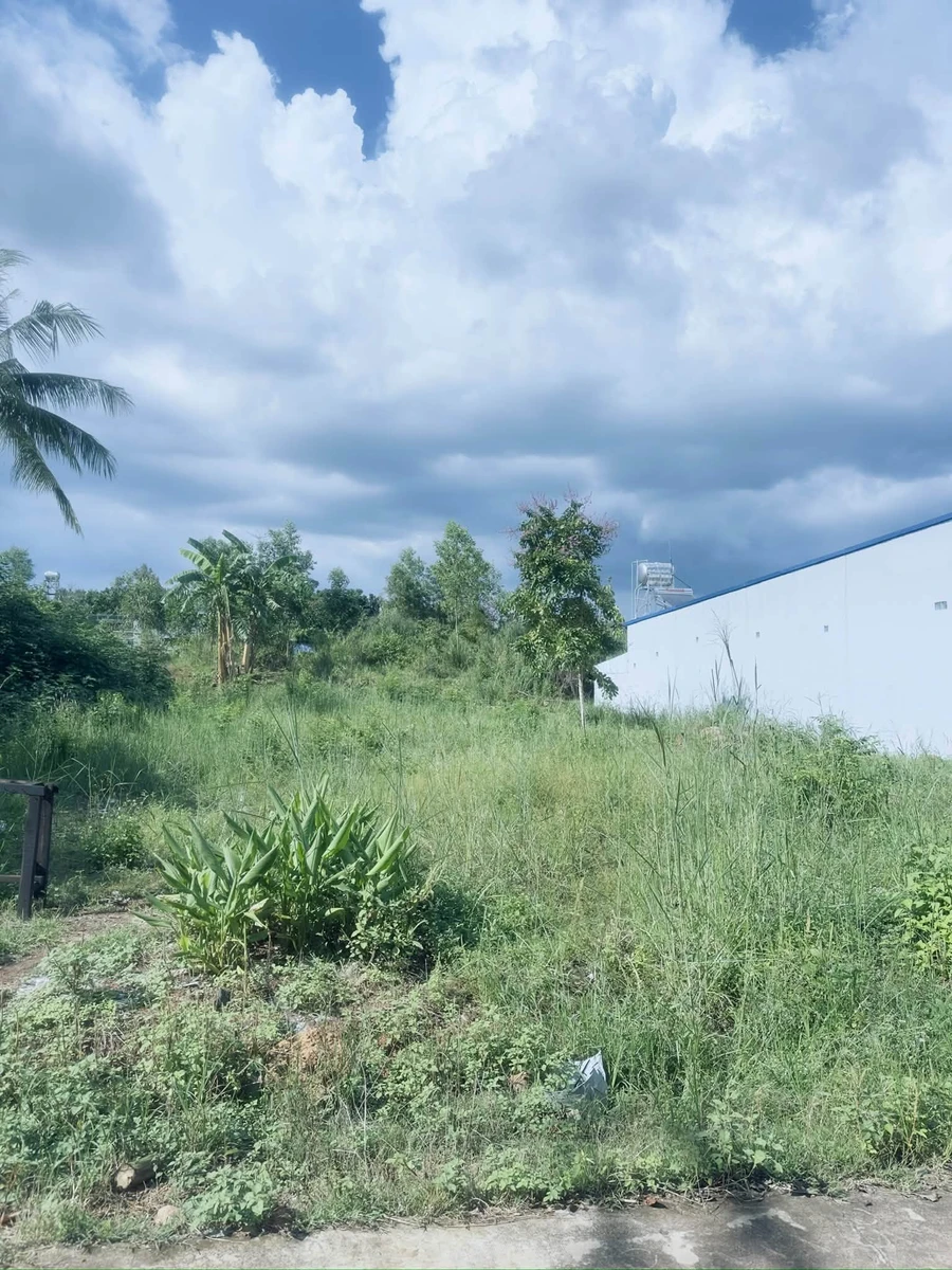 Bán 3 lô đất Sông Thao 100 m² sổ riêng 590 triệu - Ảnh thu nhỏ 3