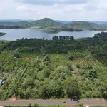 Bán đất nông nghiệp Phường Eakao Buôn Ma Thuột 6.550 m² 7,5 tỷ - Ảnh thu nhỏ 1