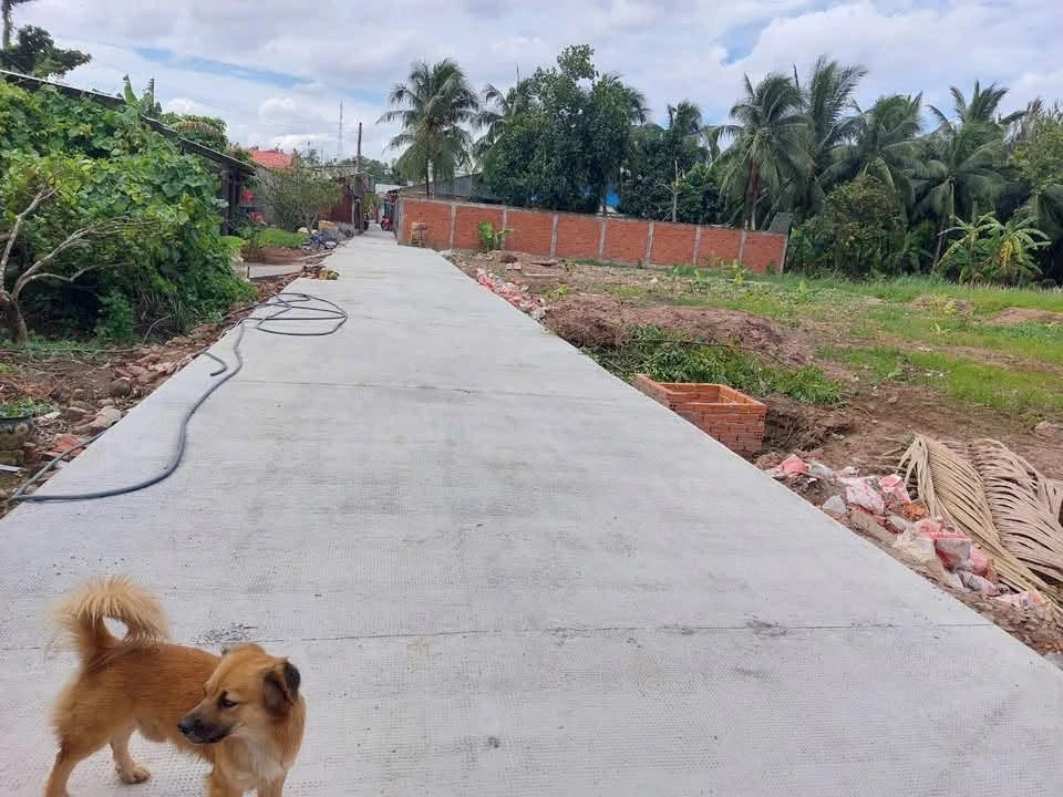 Bán nền đất 384m2 tại Xã Mỹ Thạnh An, Bến Tre - Ảnh thu nhỏ 2