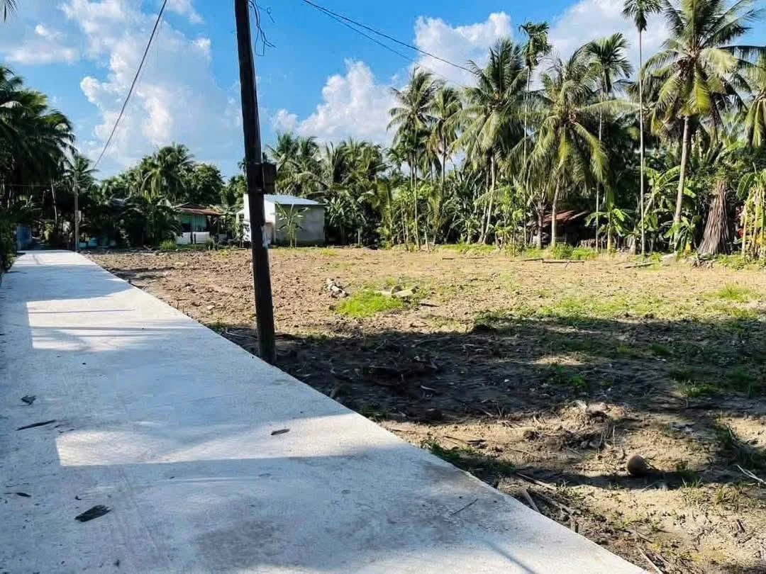 Bán đất thổ cư 160m² Xuân Đông, Chợ Gạo, Tiền Giang giá 320 triệu - Ảnh thu nhỏ 5