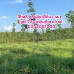 Bán 3 hecta đất Phước Tân, Bình Phước, 720 triệu/ha - Ảnh thu nhỏ 1