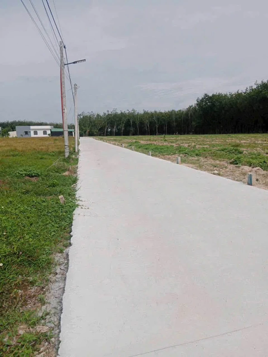 Bán đất 300m² Ninh Điền Tây Ninh 229 triệu - Ảnh thu nhỏ 4