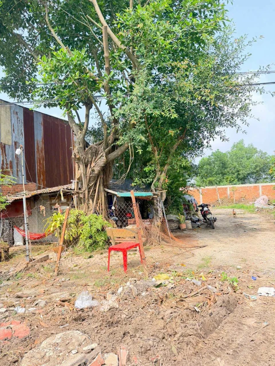 Bán đất mặt tiền QL 22B 235m² Tây Ninh - Ảnh thu nhỏ 2