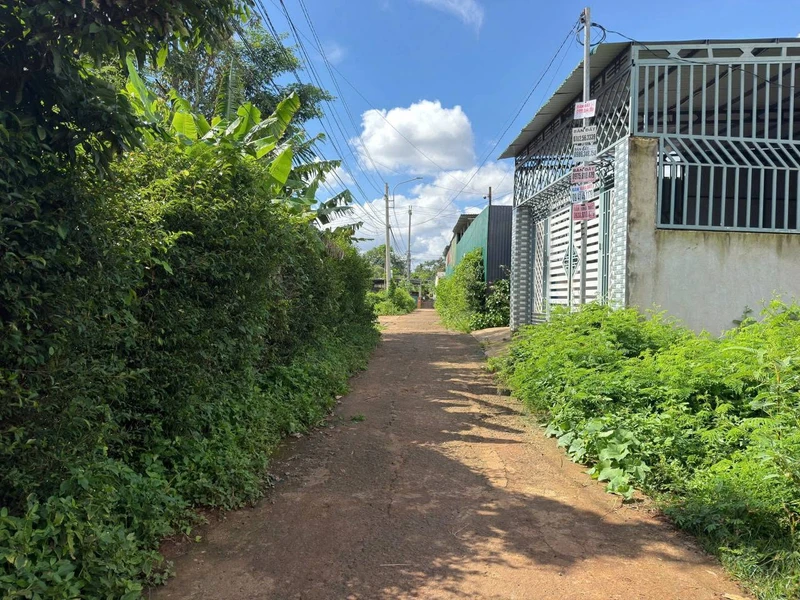 Bán đất hẻm cấp 1 Nguyễn Xuân Nguyên, 50m², Buôn Ma Thuột