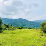 Bán 2 sổ đất cây trồng 2 hecta Xã Thuận Minh Cần Giờ - Ảnh thu nhỏ 4