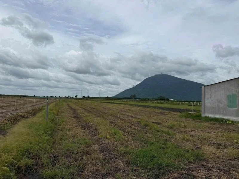Bán đất 1 công Suối Đá Tây Ninh 275 triệu