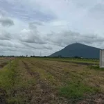 Bán đất 1 công Suối Đá Tây Ninh 275 triệu - Ảnh thu nhỏ 1
