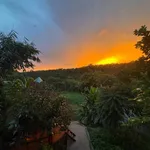 Sang nhượng homestay 1.163m² 7 phòng, doanh thu 20-30tr/tháng, 4,2 tỷ - Ảnh thu nhỏ 4