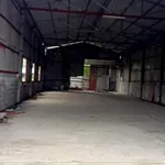 Cho thuê kho 500m² Dĩ An, 22 triệu/tháng - Ảnh thu nhỏ 2