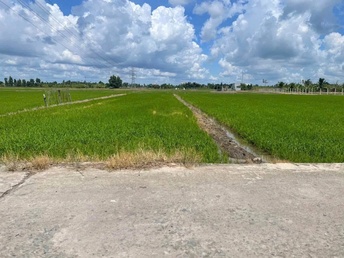 Bán đất 961,9 m² Long An giá 2 tỷ 3 - Ảnh 1
