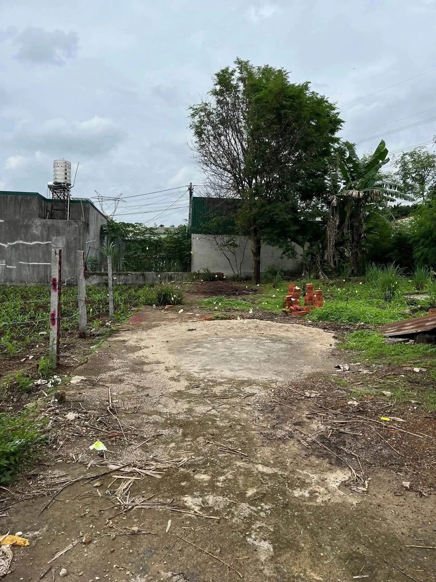 Bán đất 140m² khu dân cư Thành Nhất, Bình Mỹ, 850 triệu - Ảnh thu nhỏ 3