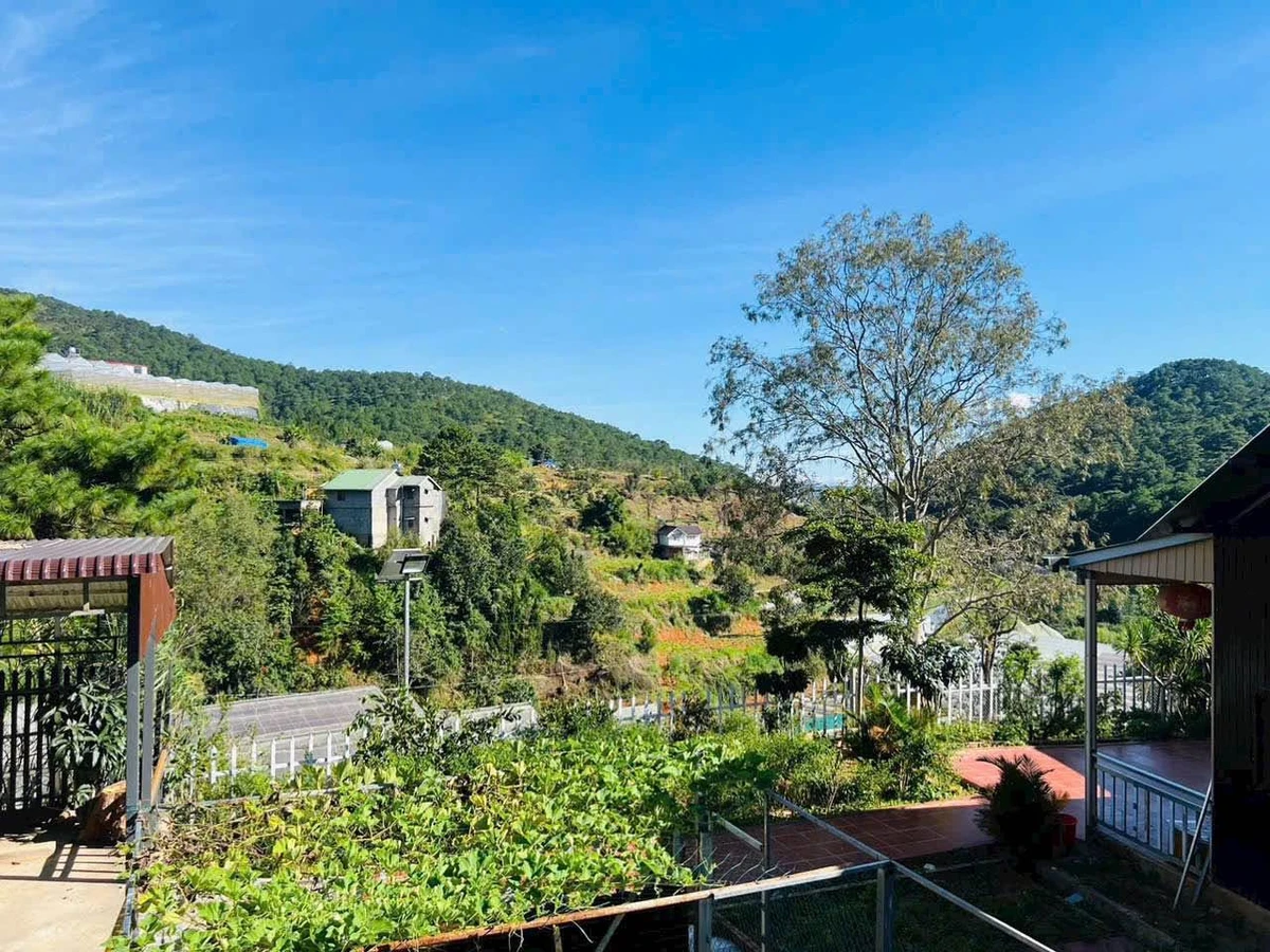 Bán nhà vườn 3PN 500m² Đà Lạt 5,5 tỷ - Ảnh thu nhỏ 3