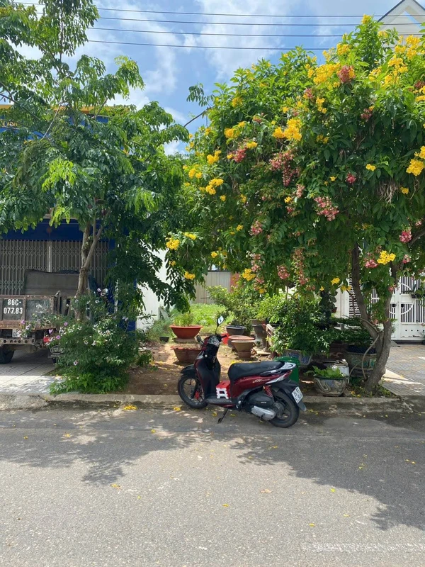 Bán lô thổ cư 100m2 Hàm Thắng, Lâm Đồng