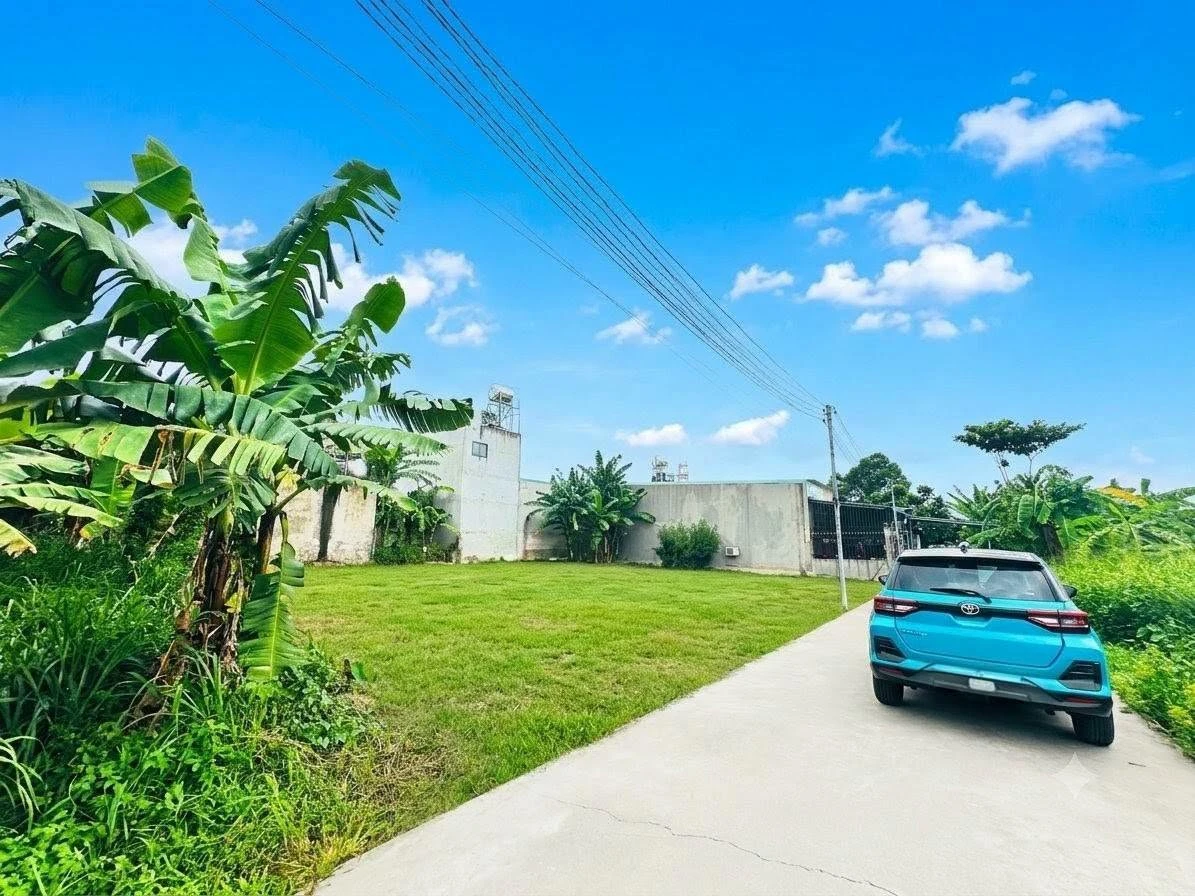Bán đất Tam Phước 100m² sổ riêng 1 tỷ 250 - Ảnh thu nhỏ 2