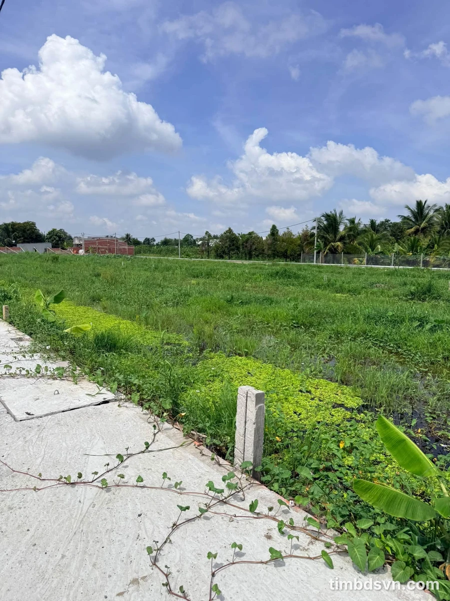 Bán 5 nền đất Rạch Ông Dựa 150m² Nhà Bè - Ảnh thu nhỏ 3