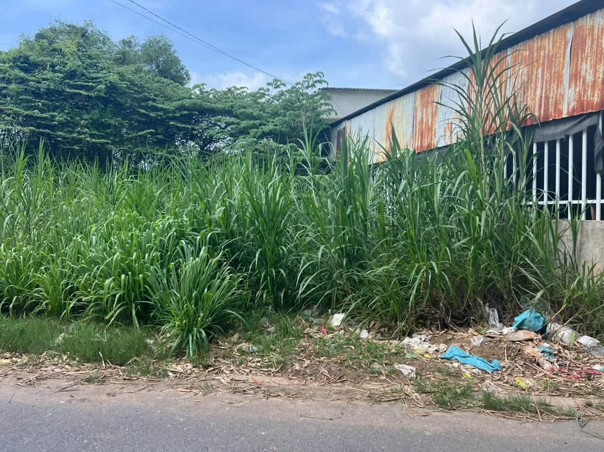 Bán lô đất thổ cư 5x23 (115m2) Khu 3 Tân Định, Hòa Lợi (Bến Cát cũ) - Ảnh thu nhỏ 4