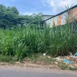 Bán lô đất thổ cư 5x23 (115m2) Khu 3 Tân Định, Hòa Lợi (Bến Cát cũ) - Ảnh thu nhỏ 4