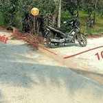 Bán vườn bưởi sầu riêng 5.339m² Vĩnh Long - Ảnh thu nhỏ 1