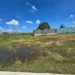 Bán lô đất 115m² Phước Vân, Cần Đước, Long An 770 triệu - Ảnh thu nhỏ 2