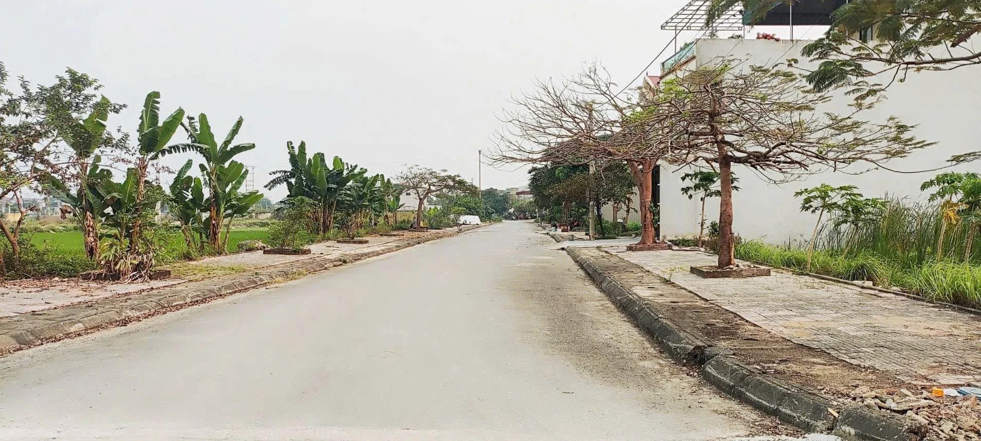 Bán đất mặt tiền 125m² An Hưng, Thủ Đức 2.1 tỷ - Ảnh 1