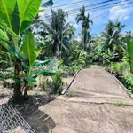 Bán đất vườn 1064m² mặt tiền Mỹ Thạnh Nhà Bè 1.2 tỷ - Ảnh thu nhỏ 3
