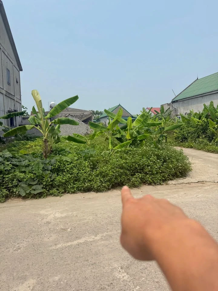 Bán đất mặt đường Hoàng Hạnh 90,8 m2 - 3 tỷ - Ảnh thu nhỏ 2