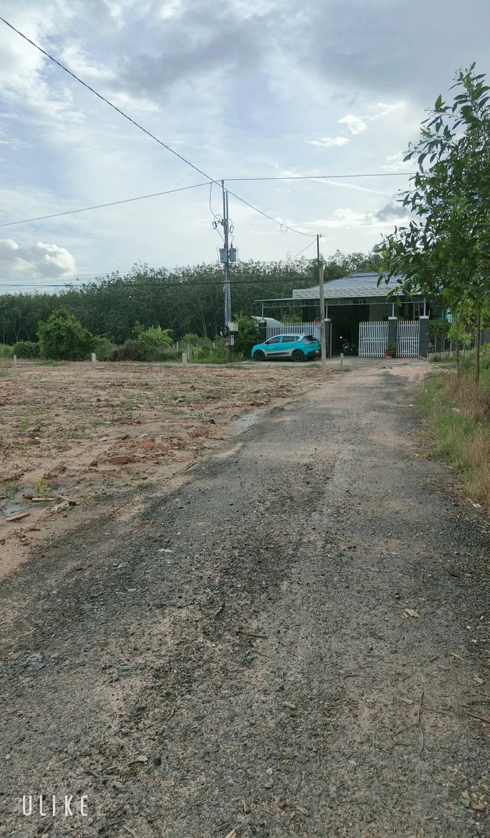 Bán đất sát nhựa Cây Da Hiệp Thạnh Gò Dầu Tây Ninh 97,5m² - Ảnh 1
