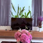 Bán nhà liền kề 3PN Buôn Ma Thuột 91m² 2.68 tỷ - Ảnh thu nhỏ 2