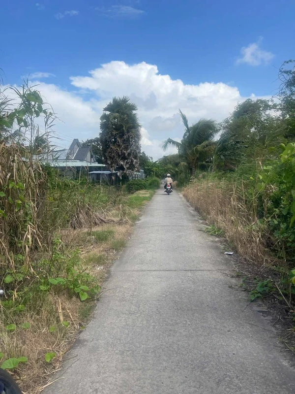 Bán đất kinh 6 Thạnh Lộc An Giang 936m² - 1,5 tỷ