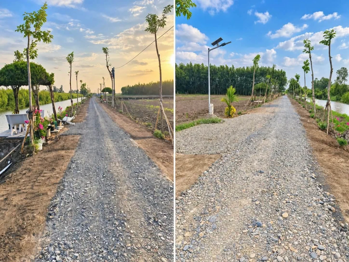 Bán nền đất Tân Phước Tiền Giang 550m² giá 338 triệu - Ảnh thu nhỏ 2