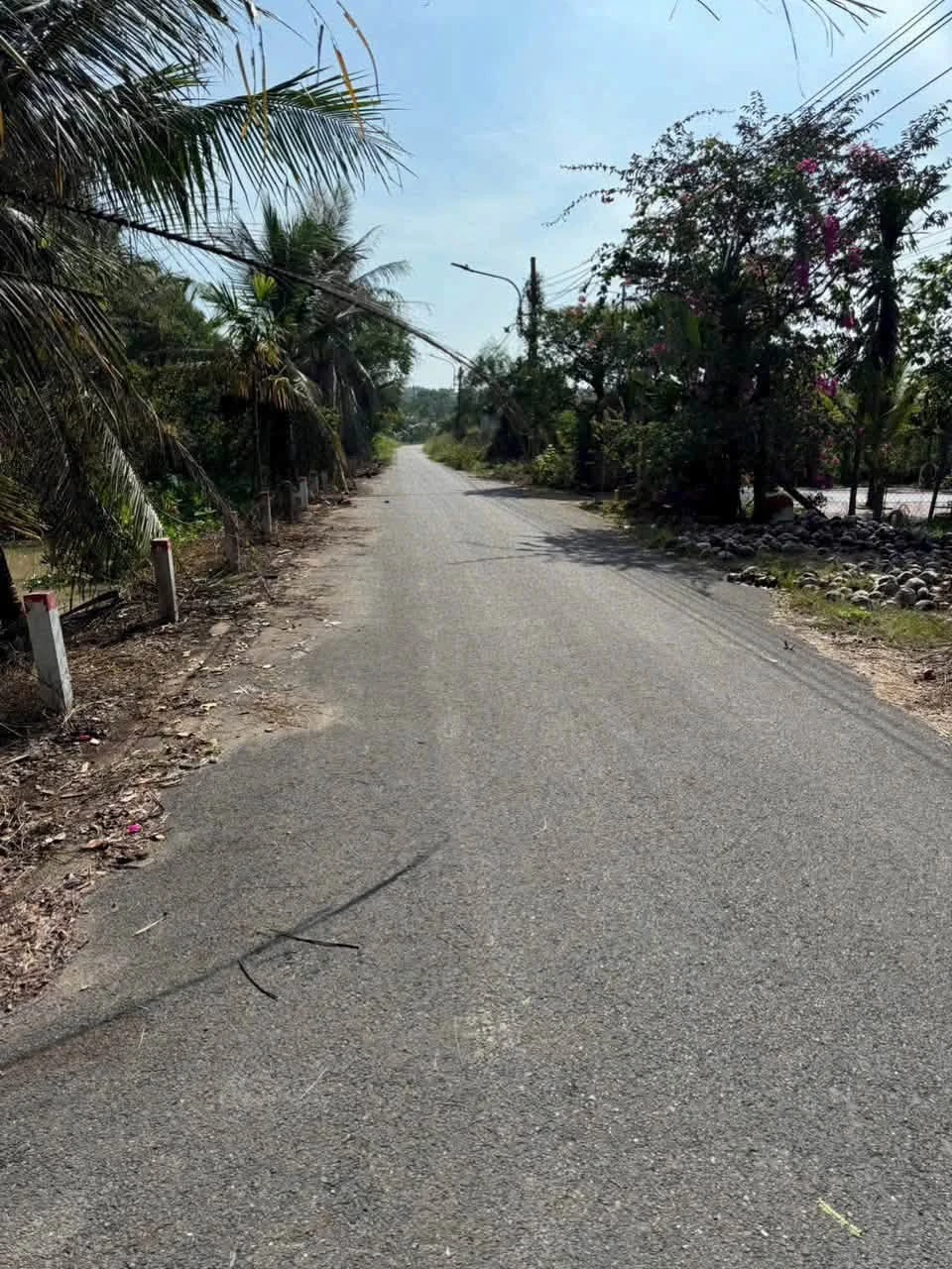 Bán nhà vườn gỗ 1400m2 An Điền, Bến Cát, giáp sông Thị Tính, giá 5 tỷ - Ảnh 1