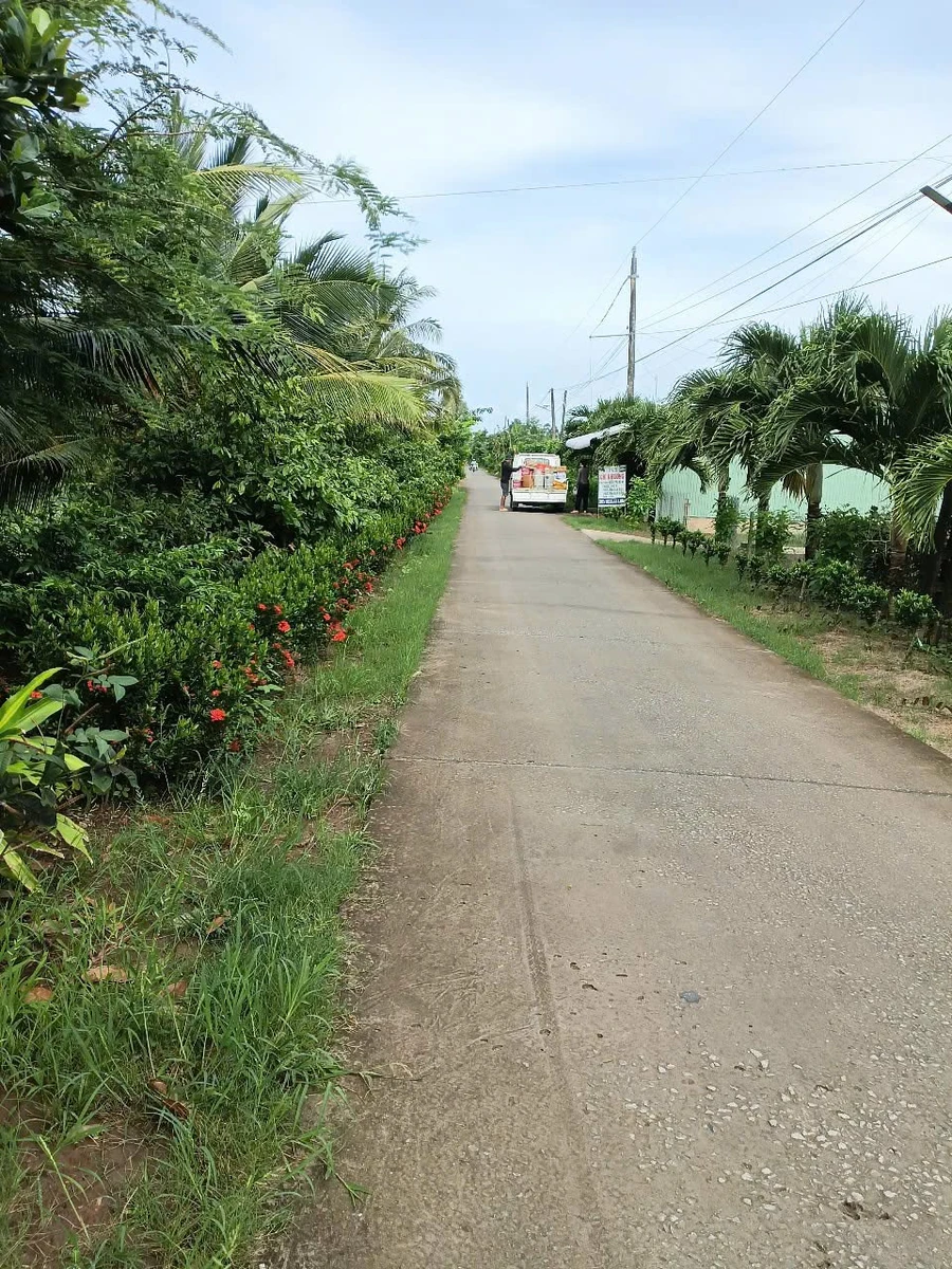 Bán vườn 37.000m² Kiên Giang, sổ hồng, 3.5 tỷ - Ảnh 1