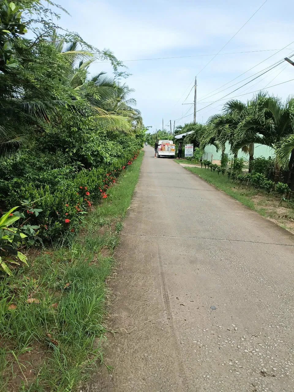Bán vườn 37.000m² Kiên Giang, sổ hồng, 3.5 tỷ - Ảnh 1
