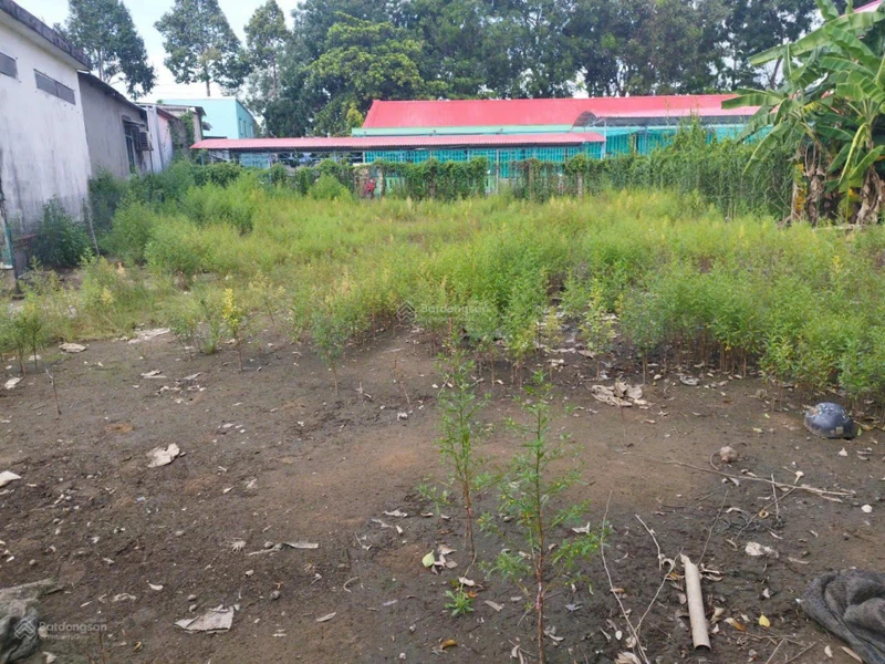 Đất đẹp giá tốt chính chủ cần bán tại đường Cây Khoa, Tân Khánh Đông, Sa Đéc, Đồng Tháp