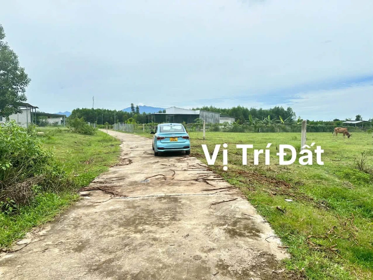 Bán đất thổ cư 346m2 xã Khánh Hiệp Khánh Hòa - Ảnh thu nhỏ 3