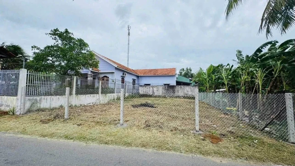 Bán đất mặt tiền Nguyễn Văn Trung Bến Tre 248,8m² 1,55 tỷ - Ảnh thu nhỏ 2