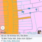 Bán đất 322m2 sổ riêng QL7 Tân Triều 1 tỷ 350 triệu - Ảnh thu nhỏ 1