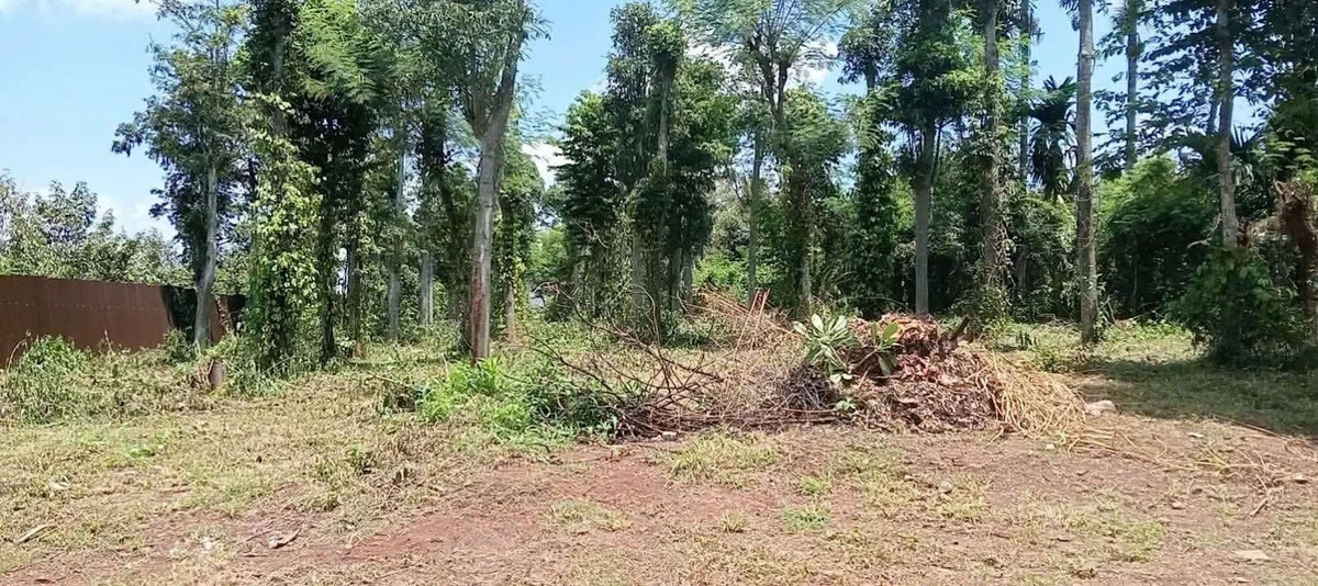 Bán lô đất gần 1 sào 3 tại Hòa Thuận Đạt Lý, 1 tỷ 380 triệu - Ảnh thu nhỏ 3