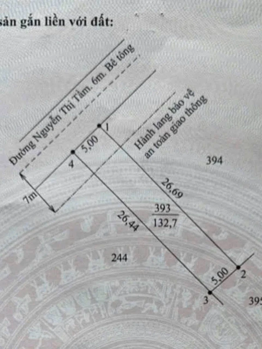 Bán đất 5x26,5m Nguyễn Thị Tầm Tân Trụ 479 triệu - Ảnh thu nhỏ 4