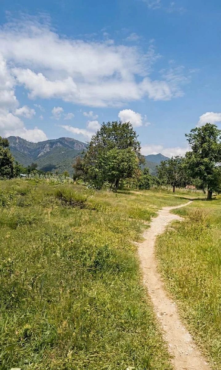 Bán đất Bình Thuận 1188m2 view đẹp 99 triệu - Ảnh thu nhỏ 2